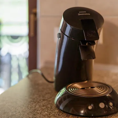 Apartamento Haus Wilde Rench *